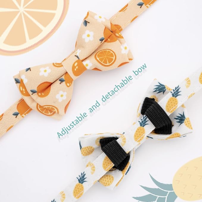 Faygarsle 2 Pack Cute Cat Collar - Image 3