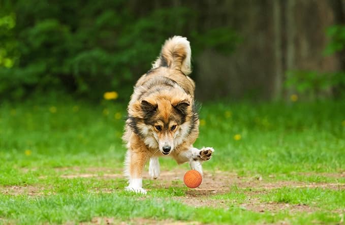 Snug Rubber Dog Balls for Small and Medium Dogs - Image 6