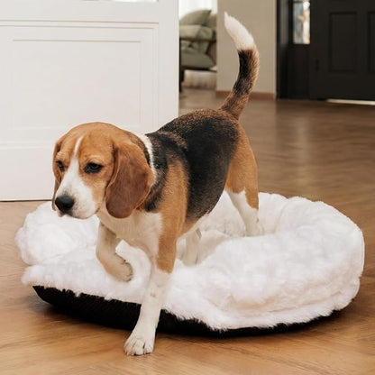 Dog Bed Couch Sofa for Small Medium Dogs and Cats Round Plush Orthopedic Sofa - Image 8