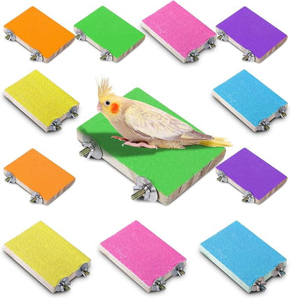 Reginary 12 Pcs Bird Perch Stand Toy Wood Parrot Stand Platform Colorful Paw by Reginary