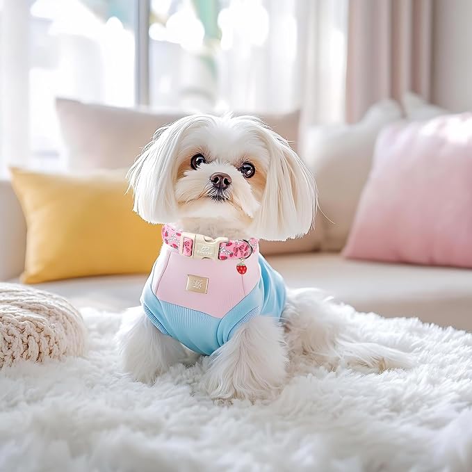 Strawberry Bow Dog Collar for Small Dogs - Image 5