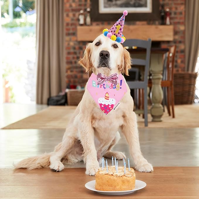 ADOGGYGO Dog Birthday Bandana Scarf and Dog Girl Birthday Party Hat - Image 2