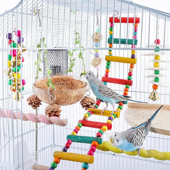 Bird Natural Coconut Nest Sugar Glider Hanging Swing Toy - Image 2