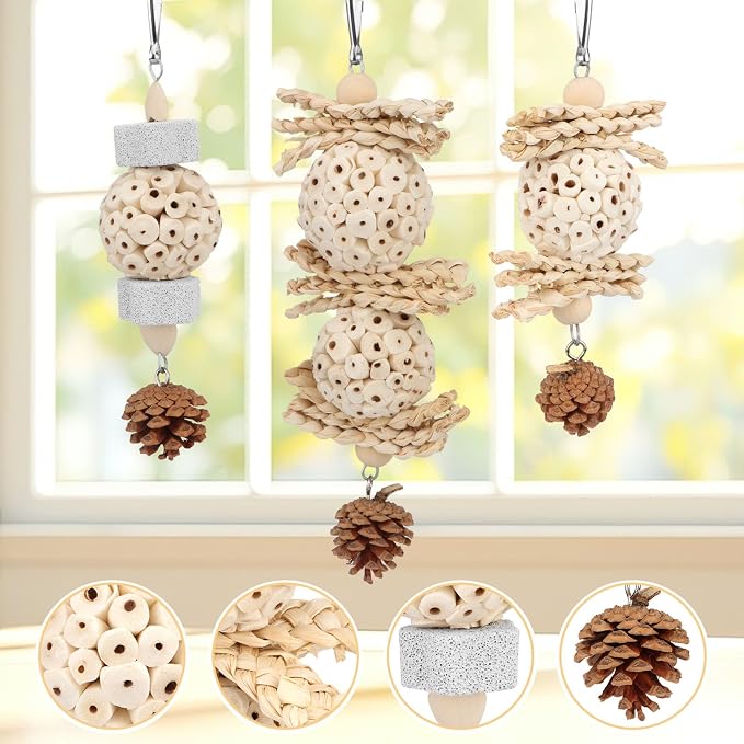 Wontee Bird Toys 3 Pack Parrot Foraging Hanging Toys Sola Ball Natural Nuts - Image 3