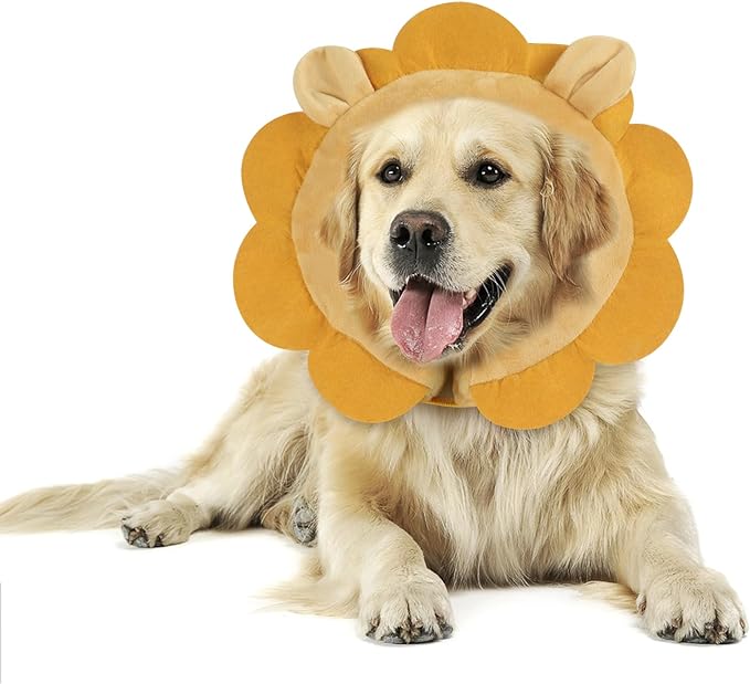 IEUUMLER Inflatable Recovery Dog Collar, Protective Donut Cone, Adjustable Soft by IEUUMLER