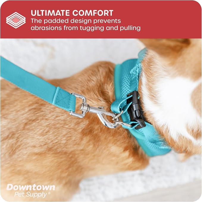 Downtown Pet Supply Step-in Dog Harness – No Pull, Adjustable Padded Mesh - Image 6