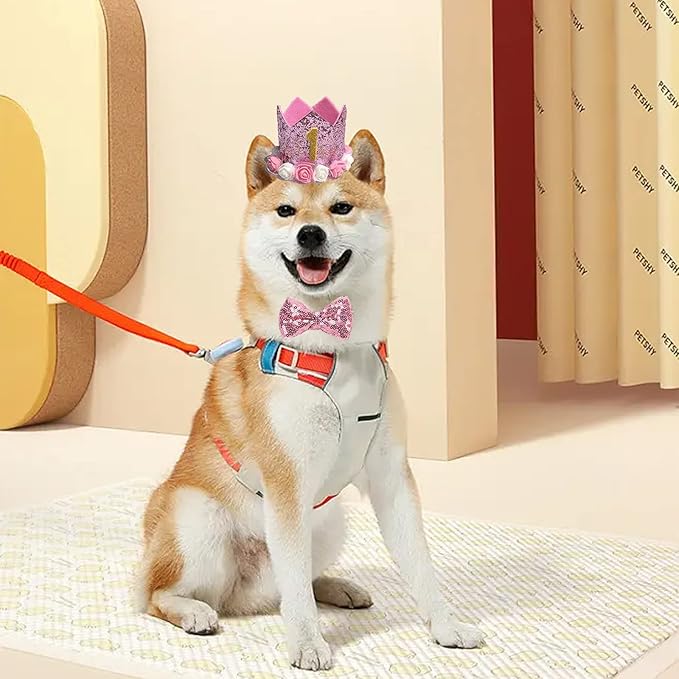 Pet Birthday Hat, Dog Birthday Crown Hat and Bowtie - Image 5