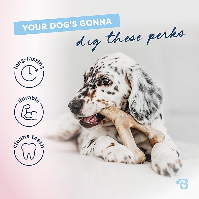 Benebone Puppy 4-Pack Dog Chew Toys, Made in USA, 30lbs and Under, - Image 5