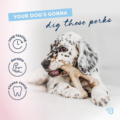 Benebone Puppy 4-Pack Dog Chew Toys, Made in USA, 30lbs and Under, - Image 5