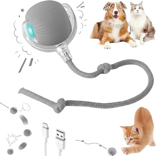 Interactive Electric Automatic Rolling Moving Rechargeable Self Play by Unknown