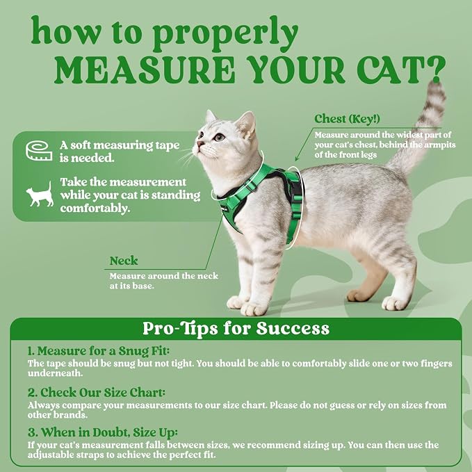 rabbitgoo Cat Harness and Leash - Image 2