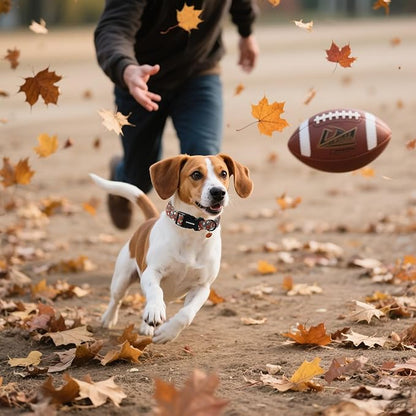 DOGWONG Fall Dog Collar, Rugby Maple Leaf Dog Collar Adjustable Soft Cute - Image 4