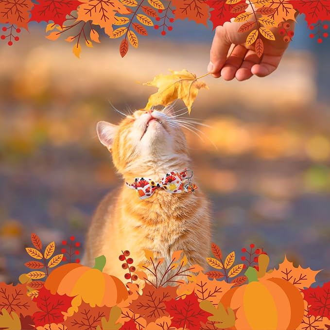 SCENEREAL Fall Thanksgiving Cat Collar Breakaway - Image 2