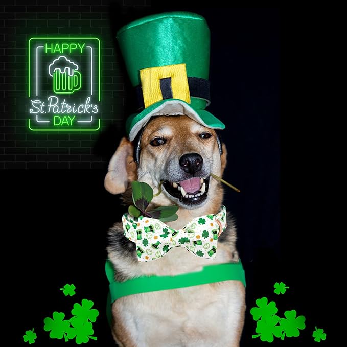 Lionheart glory Dog Bow Collar St. Patrick's Day Dog Collar - Image 4