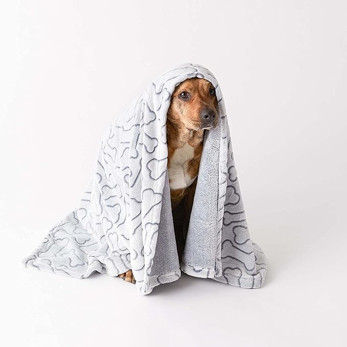 Bone Dry Embossed Bone Print Pet Blanket - Image 6