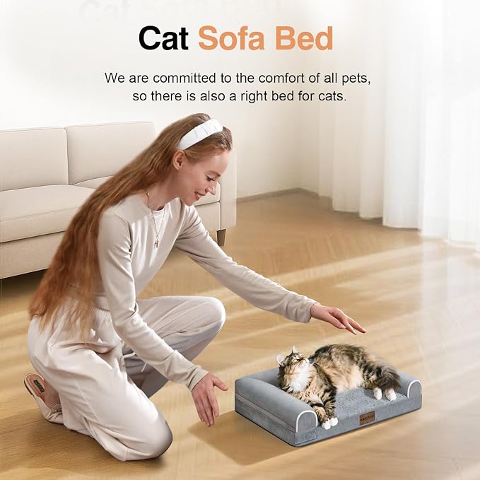 Small Dog Bed Orthopedic Washable: Beds Bolster Small Sized Dogs Cats Bed Egg - Image 3
