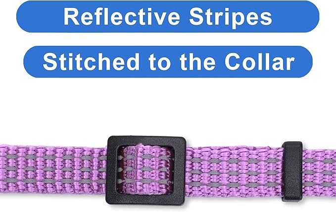 Pawtitas Reflective Purple Cat Collar - Image 4