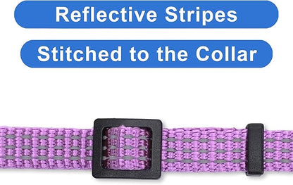 Pawtitas Reflective Purple Cat Collar - Image 4