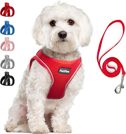 PetiFine Step in Small Dog Harness and Leash Set, Breathable All Weather Air by PetiFine