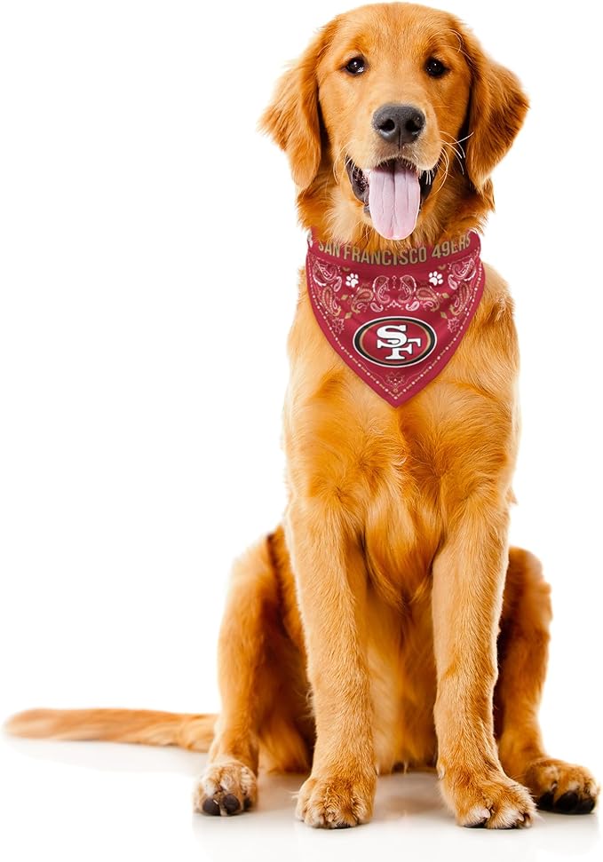 Littlearth NFL Denver Broncos Pet Bandana - Image 3