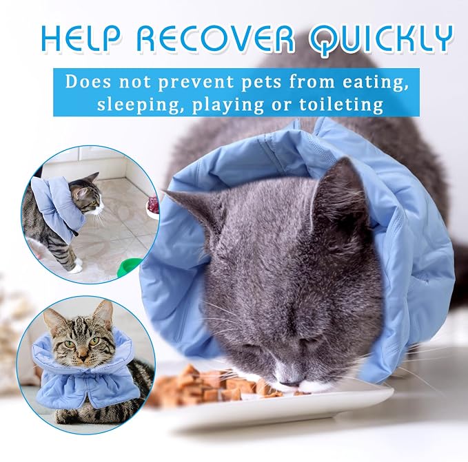 Adjustable Recovery Collar - Image 5
