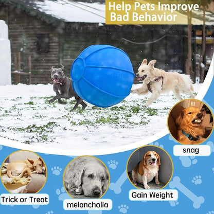 Herding Ball for Dogs, Dual Layered Herding Dog Ball Set for Australian Shepherd - Image 2