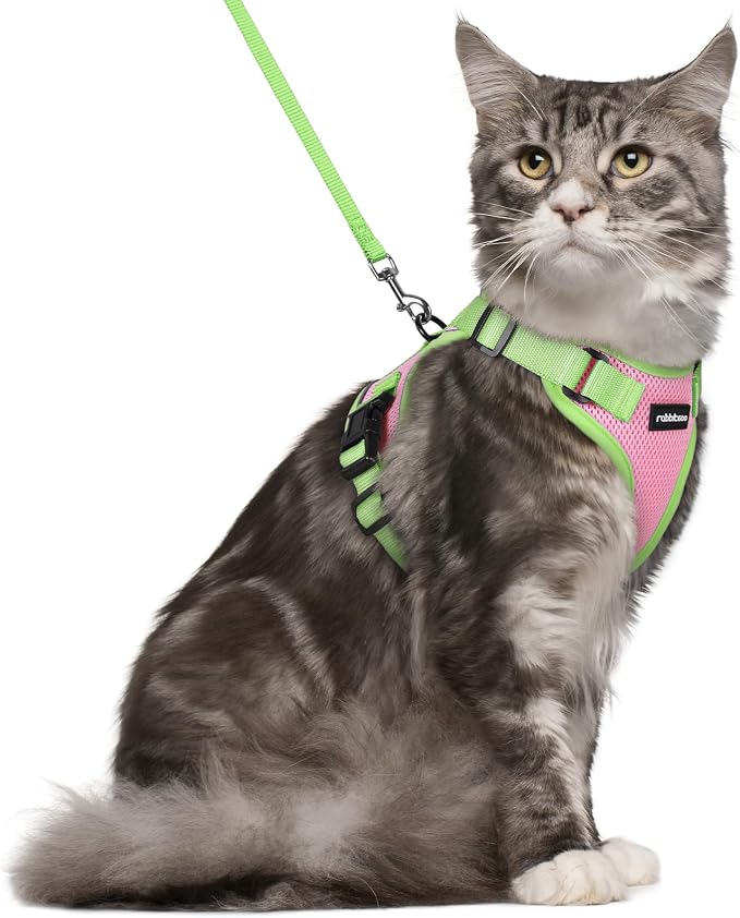 rabbitgoo Cat Harness and Leash Set, Escape Proof Soft Adjustable Vest Harnesses by rabbitgoo