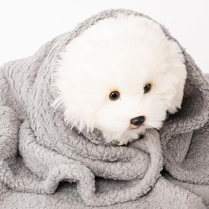 2 Blankets, Dog Cat Pet Blanket, Soft Warm Fleece, - Image 7
