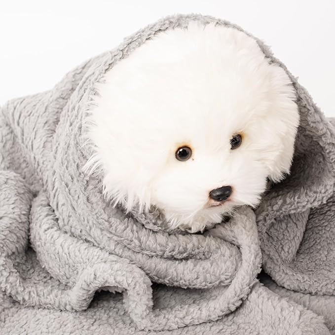 3 Blankets, Dog Cat Pet Blanket, Soft Warm Fleece, - Image 8