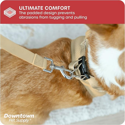 Downtown Pet Supply Step in Dog Harness No Pull, Khaki - Image 6