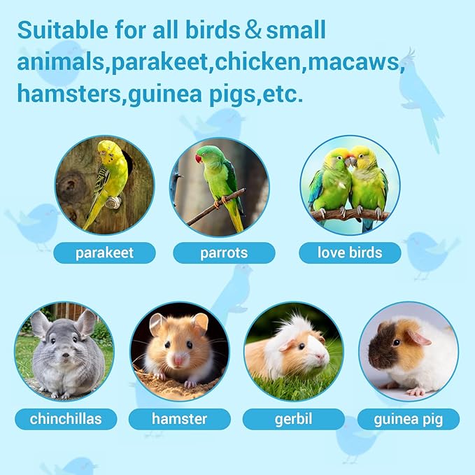 2 Pcs Parrot Feeder Chew Toy Balls, Bird Foraging Interactive Toys, Suitable - Image 3