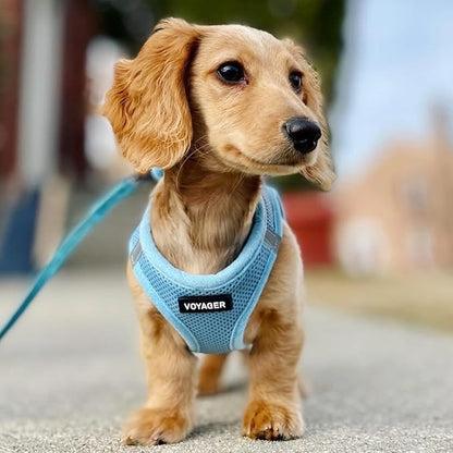 Best Pet Supplies Voyager Step-in Air Harness - Image 7