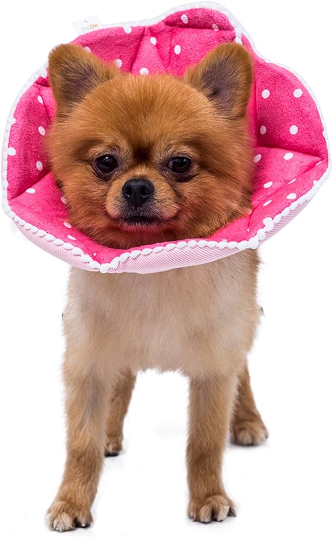 Adjustable Dog Cat Cone, Soft Recovery Cat Cone Collar, Dog Protective Collar by WZPET
