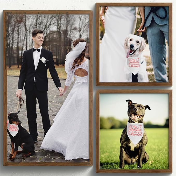 Engagement Gift, My Humans are Getting Married Dog Bandana, Wedding Photo Prop - Image 3