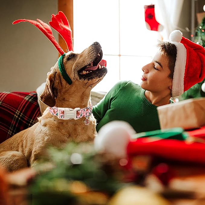 DOGWONG Christmas Dog Collar - Image 4
