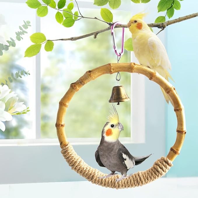 Bamboo Ring Bird Swing Perch, Large Circle Cage Hanging Toys, Bird Perch - Image 4