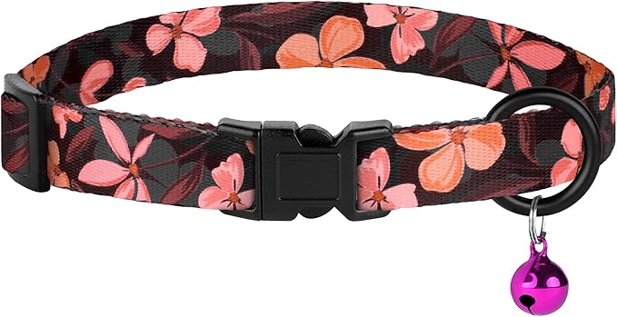 Cat Collars 2 Pack - Image 8