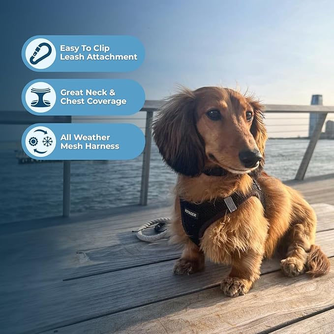 Best Pet Supplies Voyager Step-in Air Harness - Image 3