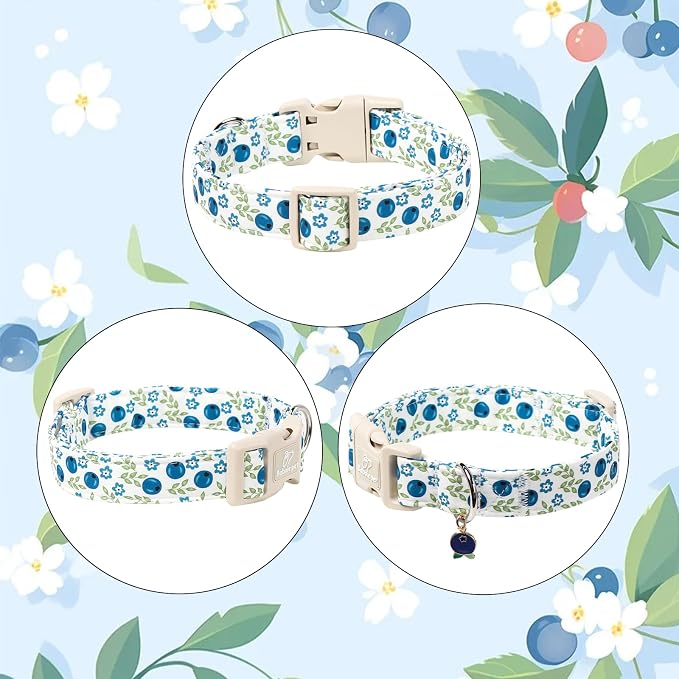 Spring/Summer Dog Collar for Small Dogs - Image 7