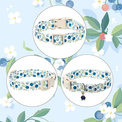 Spring/Summer Dog Collar for Small Dogs - Image 7