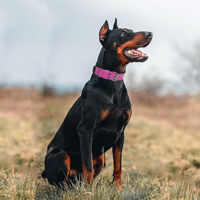 Tactical Dog Collar with Handle, Military Adjustable Heavy Duty Metal Buckle - Image 7