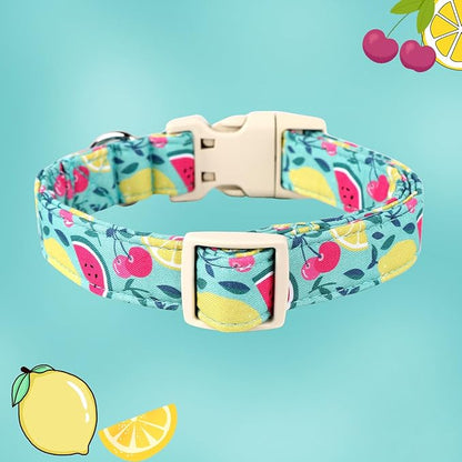 DOGWONG Cotton Dog Collar - Image 3