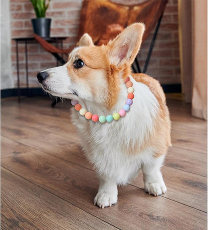 Hosiwei Dog and Cat Rainbow Beads Collar Necklace, Faux Pearls Necklace Pet - Image 3