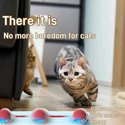 Interactive Cat Toys for Indoor Cats, Agility Move Cat Balls, Motion Activated - Image 7