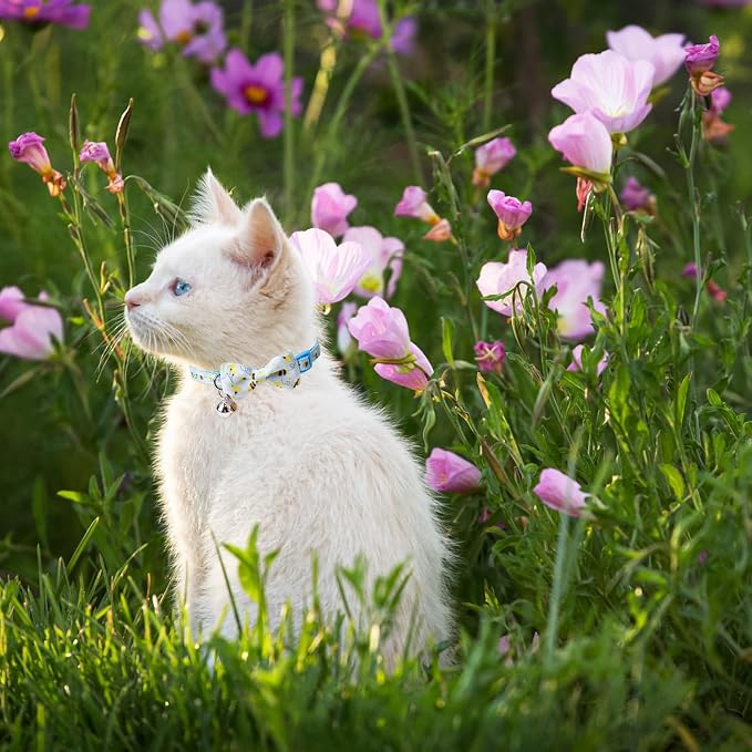 SCENEREAL Breakaway Cat Collar - Image 2