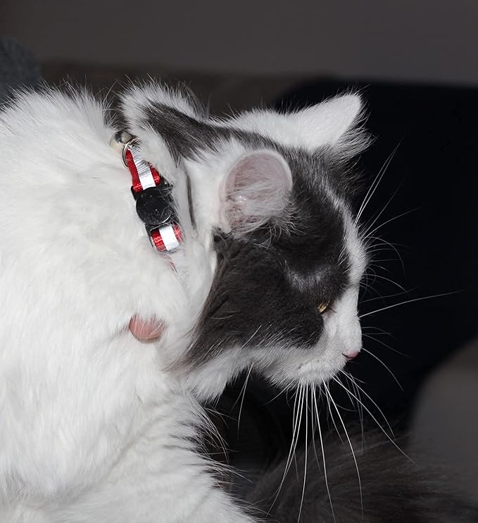 Reflective Cat Collar with Bell, Solid & Safe Collars - Image 5