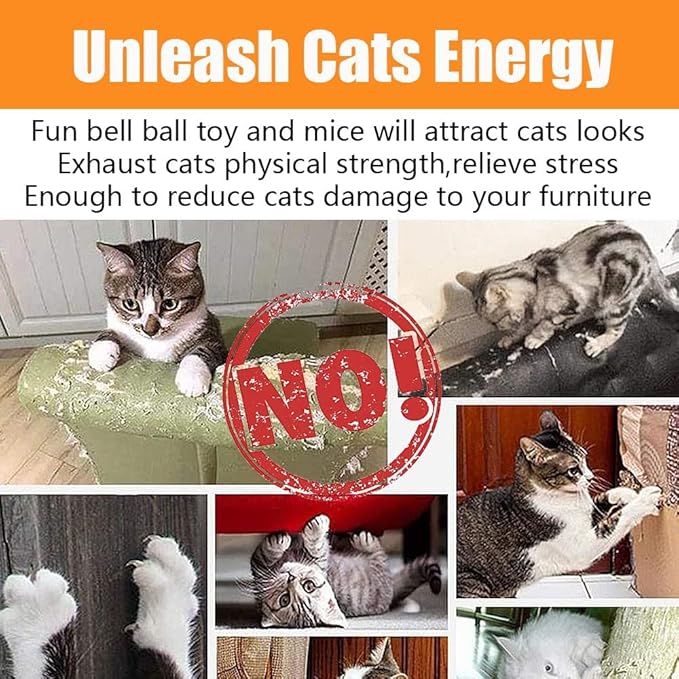 21 Pcs Cat Toys for Indoor Cats Collapsible Cat Tunnel Interactive Feather - Image 7