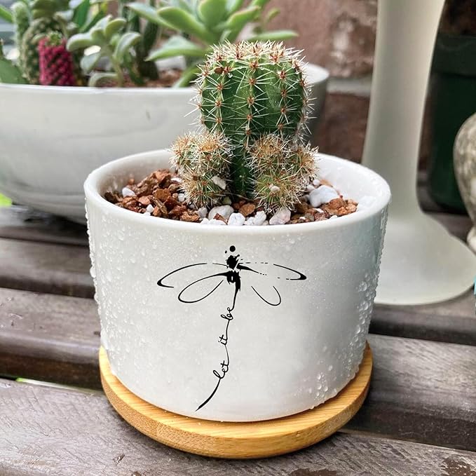 Window Garden Dragonfly Planter Pots, Dragonfly Gifts - Image 6