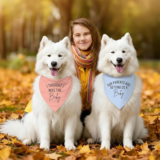 2 Pack Dog Bandanas for Pregnancy Announcement, Cute Adjustable Pet Bandana - Image 5