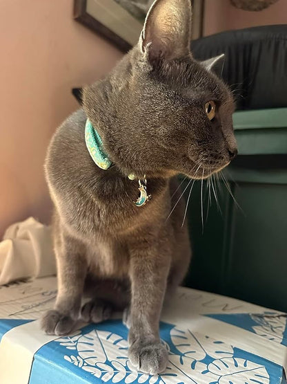 2 Pack Breakaway Cat Collar - Image 6